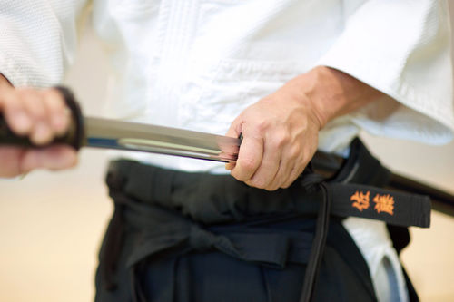 IAIDO picture